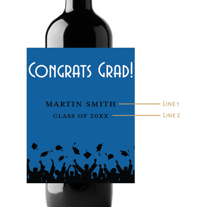 Congrats Grad! Custom Personalized Wine Champagne Labels (set of 3)