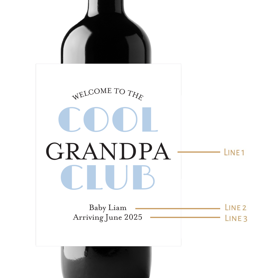 Cool Club Custom Personalized Wine Champagne Labels (set of 3)